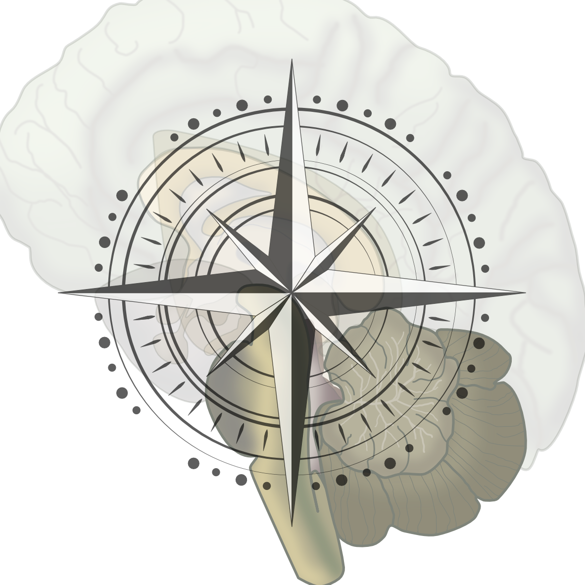 [placeholder for image]